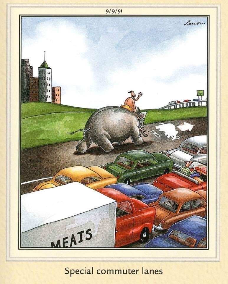 20 Best Funny Comics To Lift Your Life 7 the far side comics