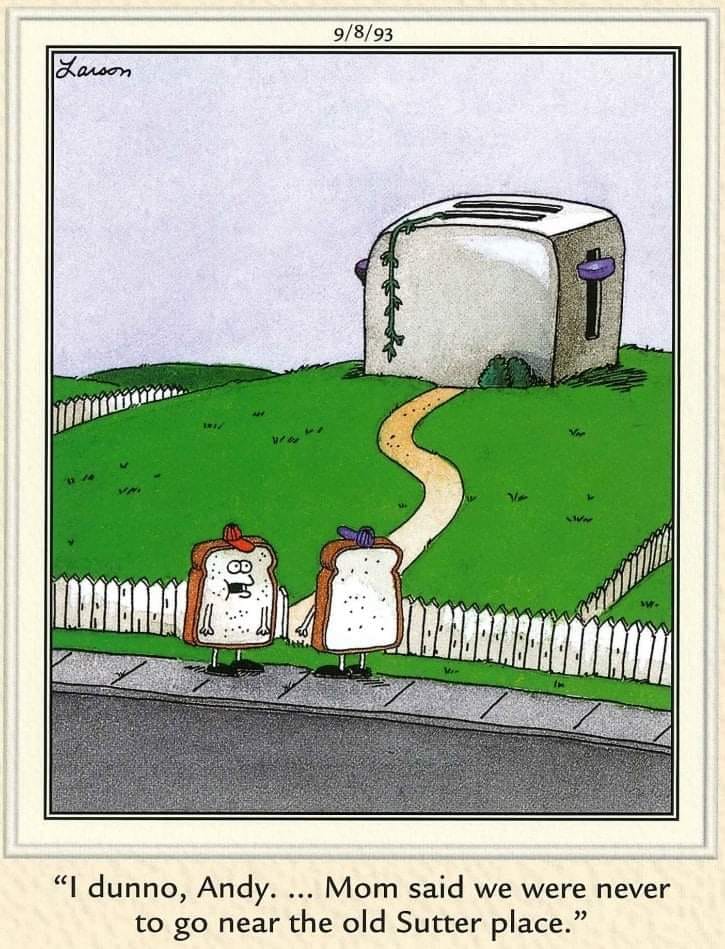 20 Best Funny Comics To Lift Your Life 9 the far side comics