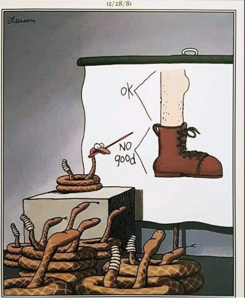 20 Best Funny Comics To Lift Your Life 10 the far side comics