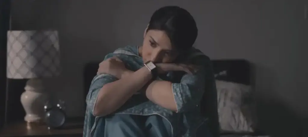 Biryani Drama: Cast, Schedule, Timing, and Exciting Details - Ramsha Khan - Khushhal Khan Khan 2025 7 biryani drama ramsha khan khushhal khan 3