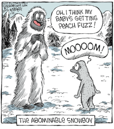 FS Comics: 20 Laugh-Inducing Comics That Everyone Will Love 17 full of humor 2