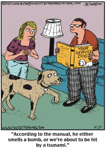 full of humor 33