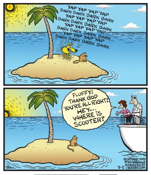 FS Comics: 20 Laugh-Inducing Comics That Everyone Will Love 21 full of humor 4 1
