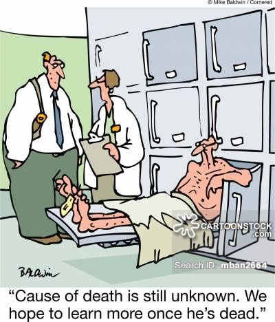 FS Comics: 20 Laugh-Out-Loud Comics You Can’t Miss in This World 20 full of humor 44