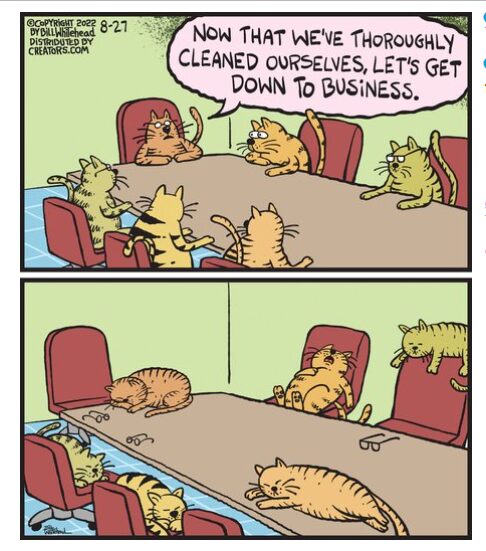 FS Comics: 20 Best Funny Comics to Instantly Boost Your Mood 17 full of humor 7 1