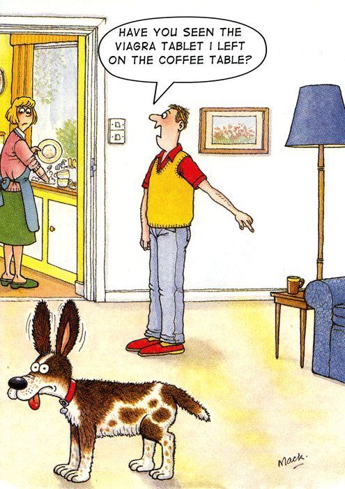 20 Funniest FS Comics To Make Everyone LOL 21 full of humor 76