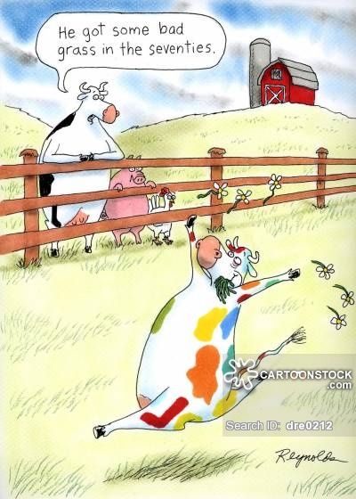20 Best Funny Comics To Lift Your Life 18 full of humor 83