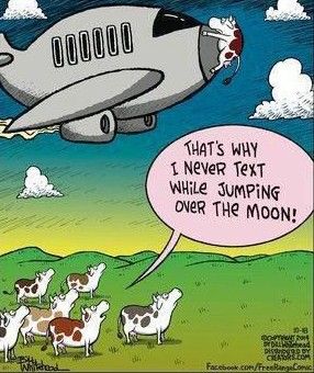 20 Best Funny Comics To Lift Your Life 19 full of humor 84