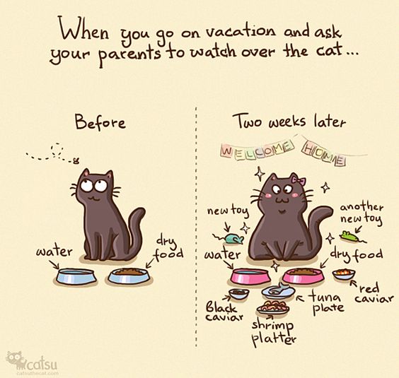 20 Humor Side Comics With A Surprising Spin 16 full of humor 90