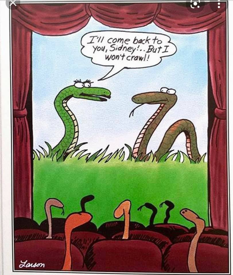 20 Humor Side Comics With A Surprising Spin 22 full of humor 96