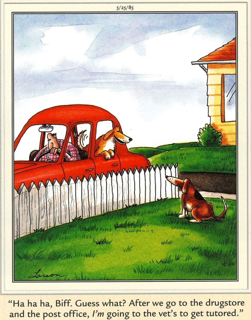 FS Comics: 20 Rib-Tickling Creations to Brighten Your Day! 18 FS Comics to Laugh 17