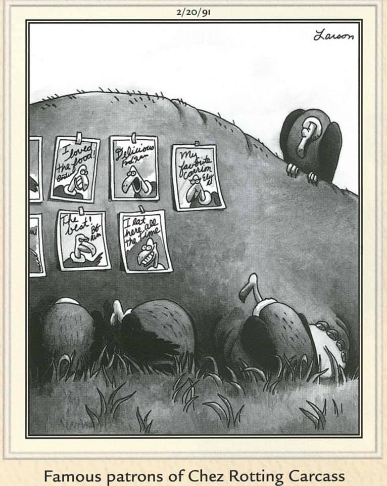 FS Comics: 20 Rib-Tickling Creations to Brighten Your Day! 3 FS Comics to Laugh 2