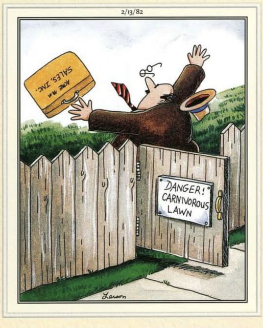 FS Comics: 20 Rib-Tickling Creations to Brighten Your Day! 5 FS Comics to Laugh 4