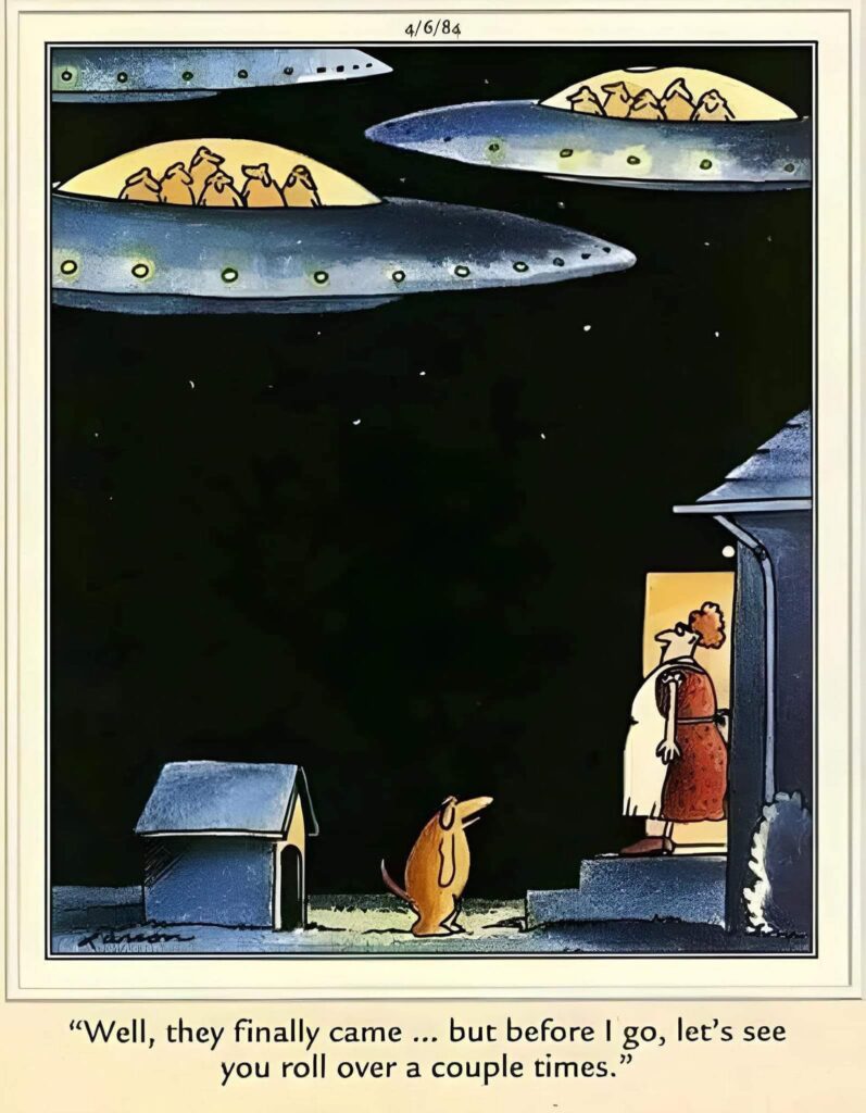 FS Comics: 20 Rib-Tickling Creations to Brighten Your Day! 9 FS Comics to Laugh 8