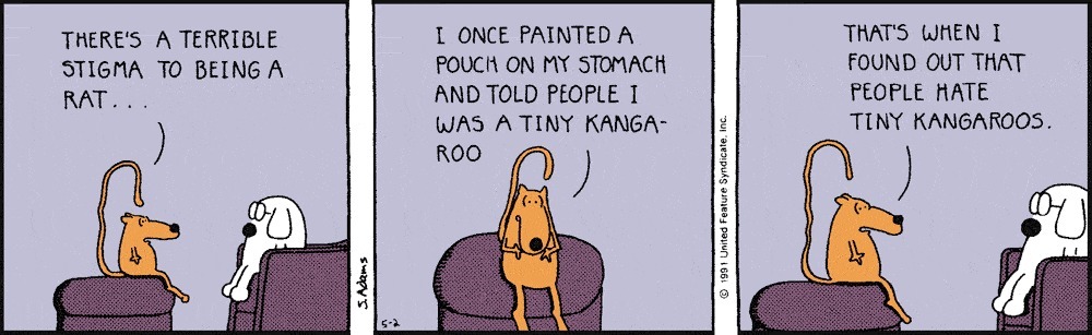 15 Best Laugh-Out-Loud Dilbert Comics That Will Totally Make Your Day 4 dilbert comic strips dose 39