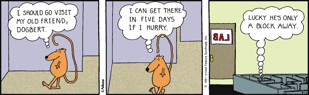 15 Brilliantly Funny Dilbert Comics That’ll Turn Your Day Around 4 dilbert comic strips dose 42