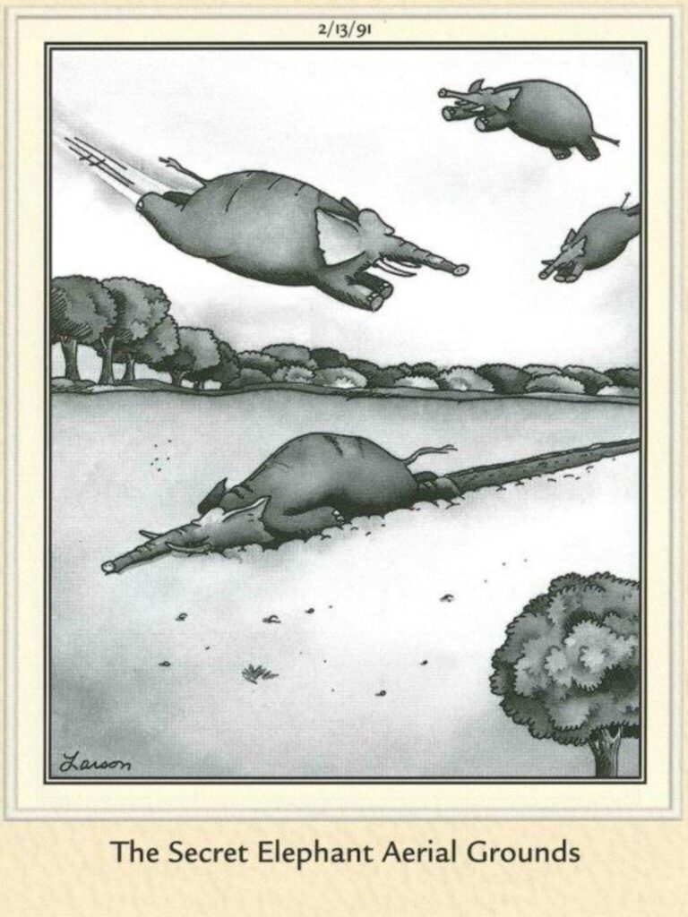 FS Comics: 20 Rib-Tickling Creations to Brighten Your Day! 20 image