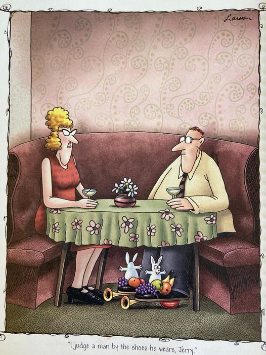 the far side 13