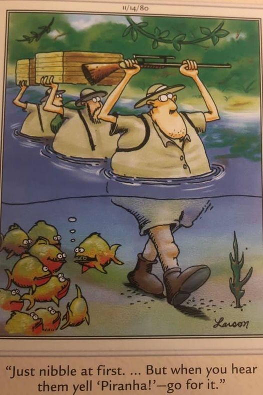 the far side 14