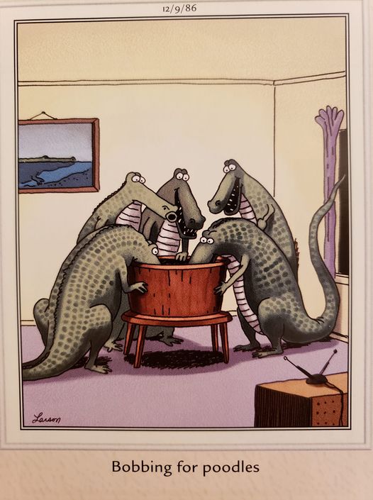the far side 15