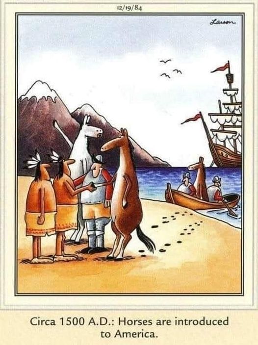 the far side 18
