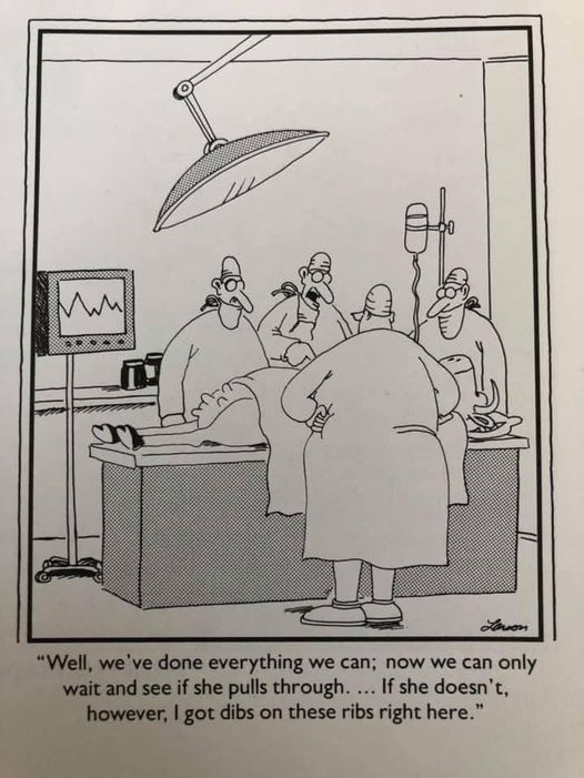 the far side 19