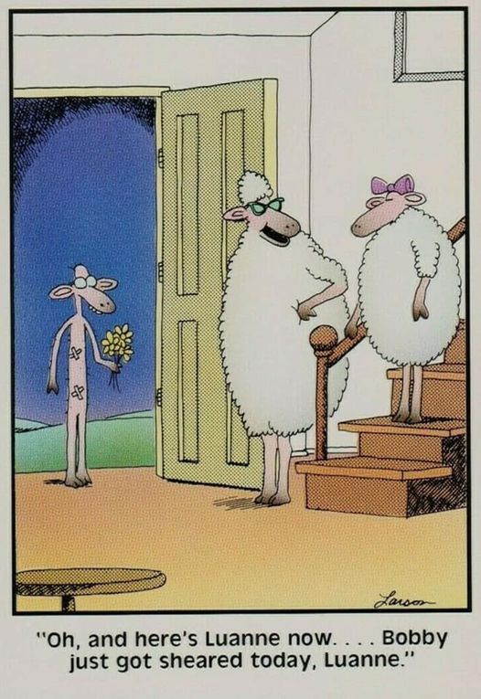 the far side 21