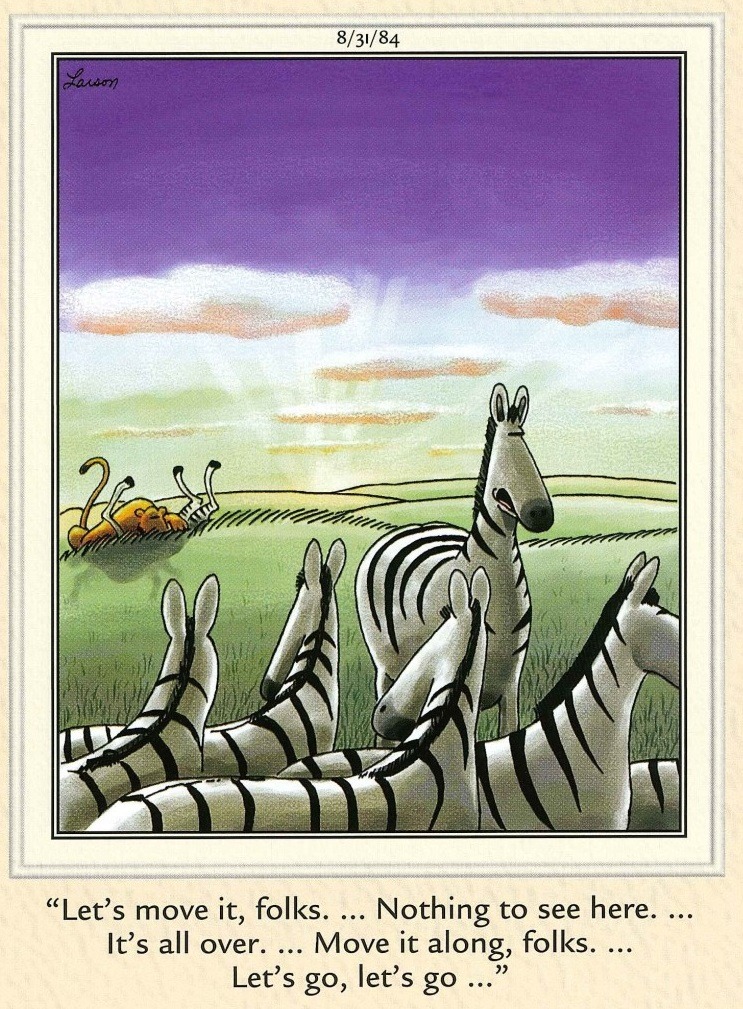 FS Comics Extravaganza: 20 Comics That Prove Humor Knows No Bounds! 7 the far side 29