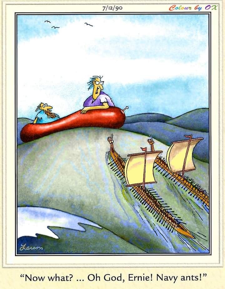 FS Comics Extravaganza: 20 Comics That Prove Humor Knows No Bounds! 8 the far side 30