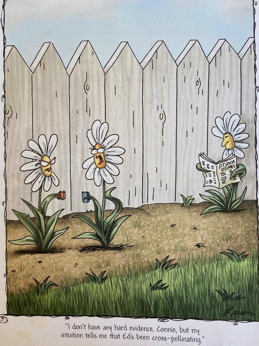 FS Comics Extravaganza: 20 Comics That Prove Humor Knows No Bounds! 10 the far side 32