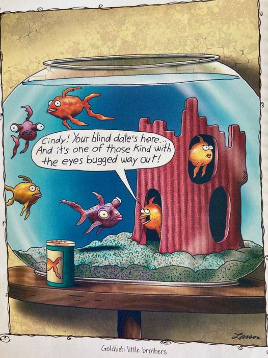 FS Comics Extravaganza: 20 Comics That Prove Humor Knows No Bounds! 12 the far side 33