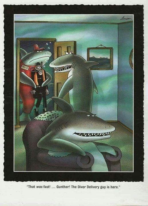 FS Comics Extravaganza: 20 Comics That Prove Humor Knows No Bounds! 15 the far side 36