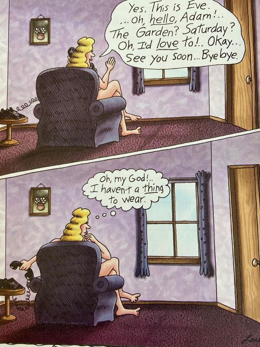 FS Comics Extravaganza: 20 Comics That Prove Humor Knows No Bounds! 14 the far side 39