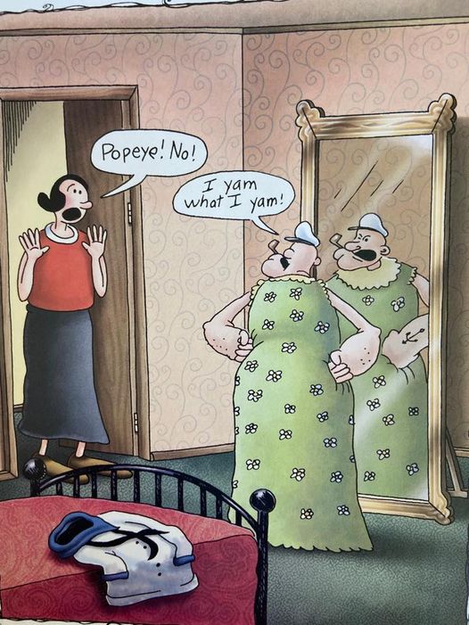 FS Comics Extravaganza: 20 Comics That Prove Humor Knows No Bounds! 21 the far side 45