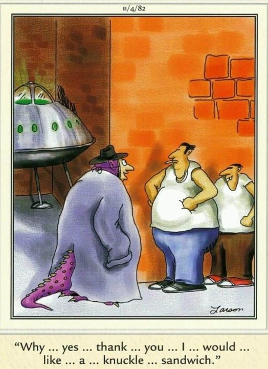 16 Best Must-See FS Comics That Will Have You in Stitches! 3 the far side 46