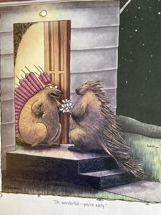 16 Best Must-See FS Comics That Will Have You in Stitches! 4 the far side 47