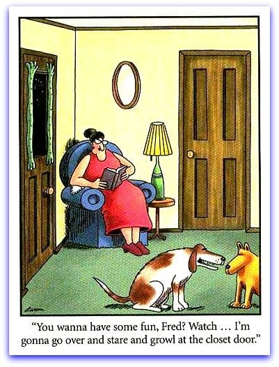 16 Best Must-See FS Comics That Will Have You in Stitches! 15 the far side 58
