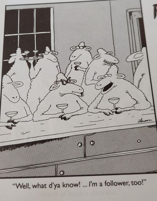 the far side 6