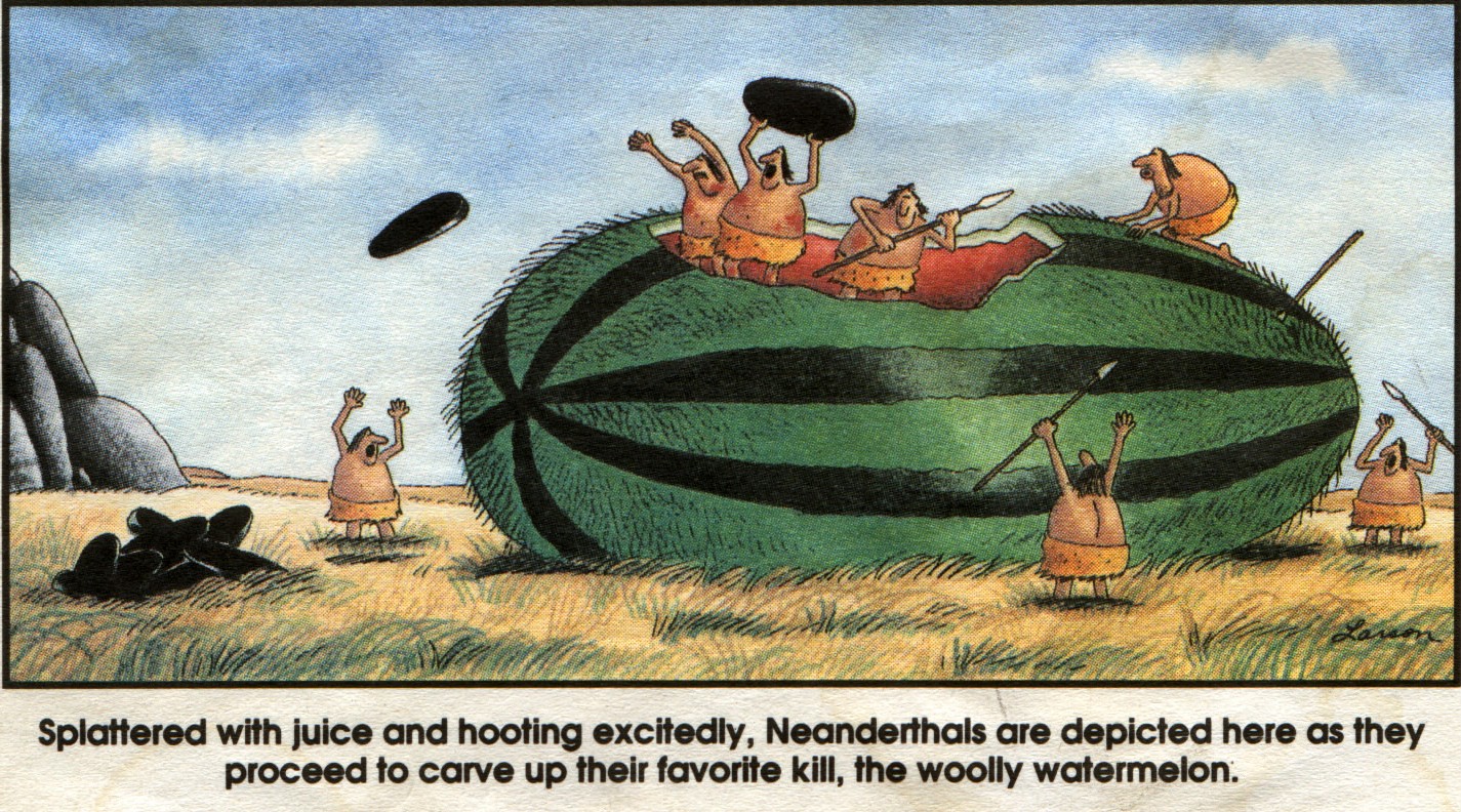 the far side comics by gary laron 28