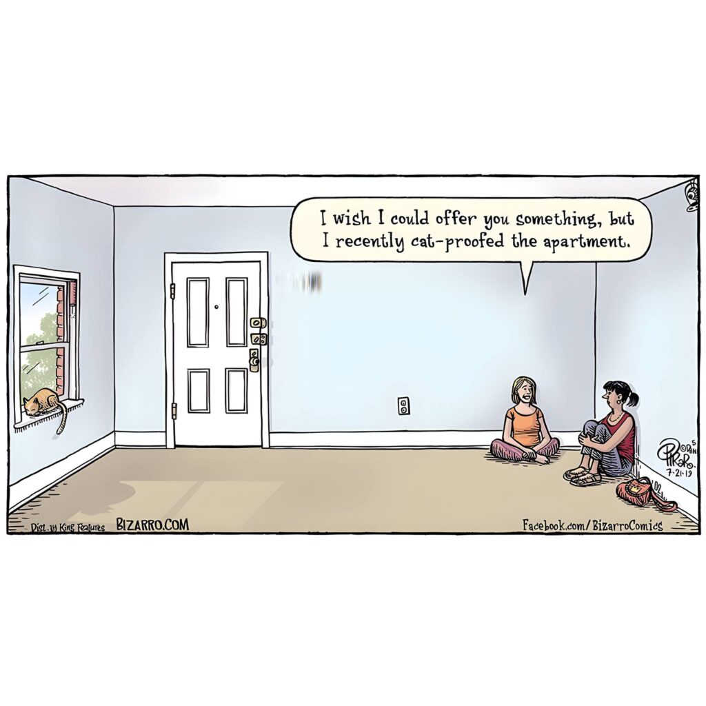 bizarro comics
