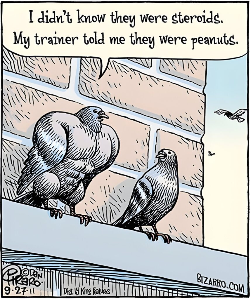 Bizarro Comics To Make Everyone Laugh 116