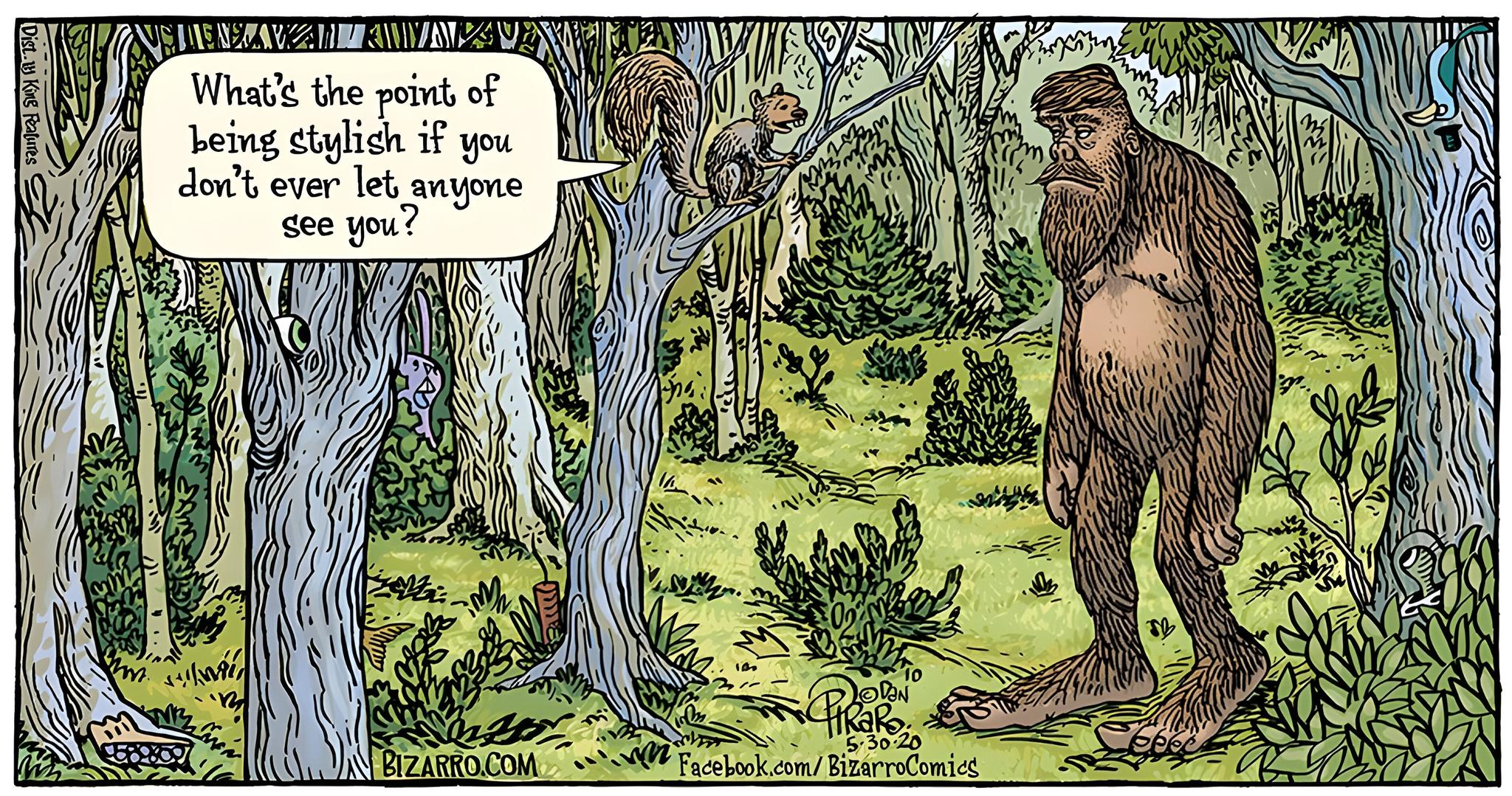 Bizarro Comics To Make Everyone Laugh 118 1