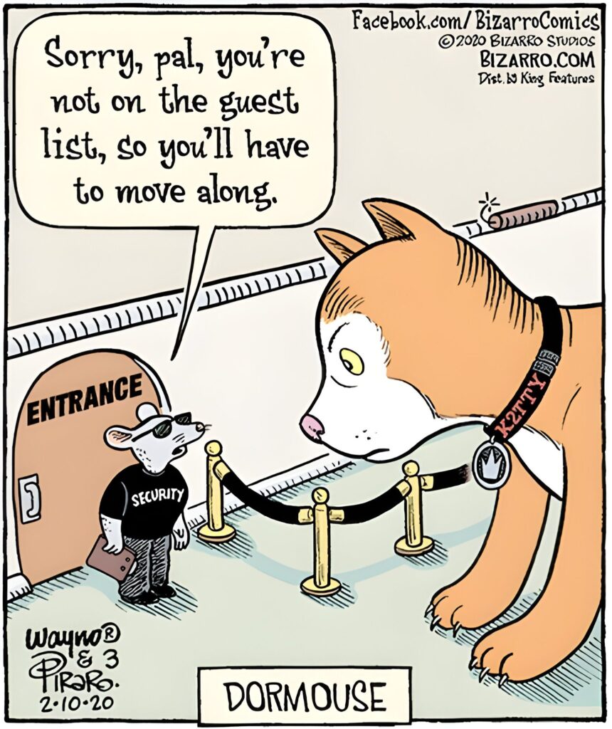 Bizarro Comics To Make Everyone Laugh 274