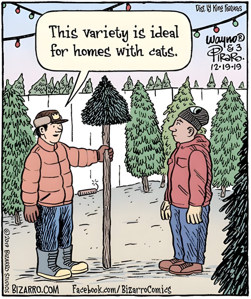 Bizarro Comics To Make Everyone Laugh 279