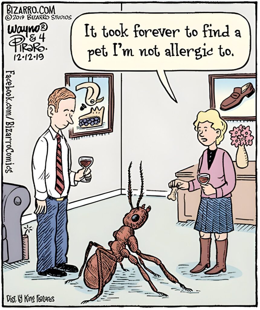 Bizarro Comics To Make Everyone Laugh 280