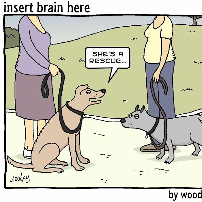 humor comics 2