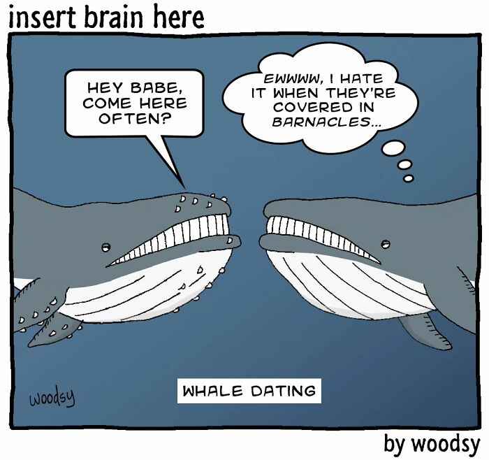 humor comics 34