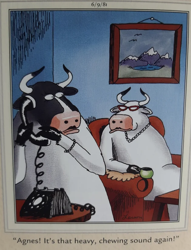the far side comics 1