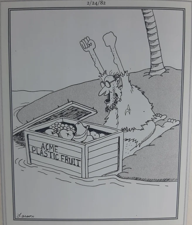 the far side comics 12