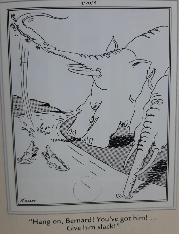 the far side comics 16